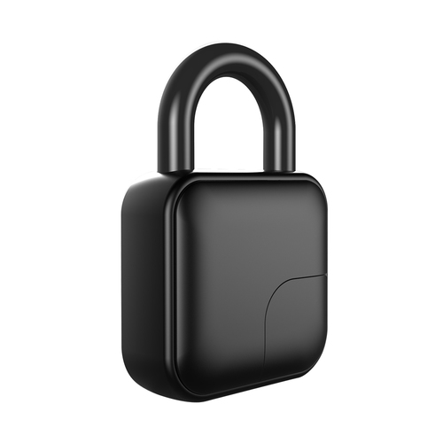 Smart Fingerprint Padlock Bluetooth Finger Lock L3  Tuya APP